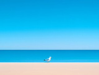 Naklejka premium Seagull at the Beach with Clean White and Blue Sky