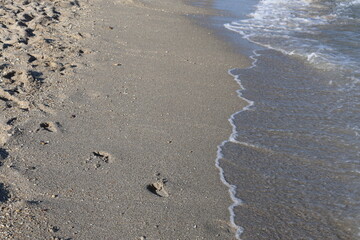 footprints on the beach wet sand foot steps