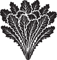 Lettuce leaf plant silhouette vector illustration isolated on a white background