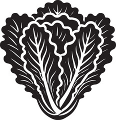 Lettuce leaf plant silhouette vector illustration isolated on a white background