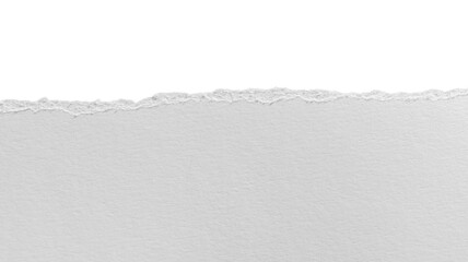 torn blank pages with uneven texture edges. set of ripped white paper sheets png isolated on...