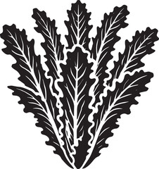 Fototapeta premium Lettuce leaf plant silhouette vector illustration isolated on a white background