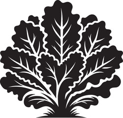 Lettuce leaf plant silhouette vector illustration isolated on a white background