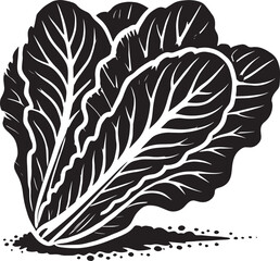 Obraz premium Lettuce leaf plant silhouette vector illustration isolated on a white background