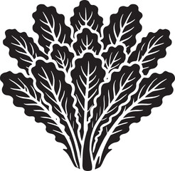 Lettuce leaf plant silhouette vector illustration isolated on a white background