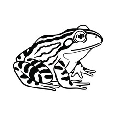reptiles- frog line and fill art vector illustration