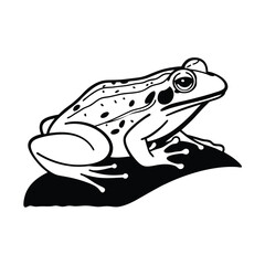 reptiles- frog line and fill art vector illustration