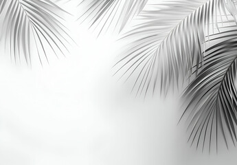 Obraz premium Monochromatic Palm Leaf Photography: Elegant Minimalist Tropical Design