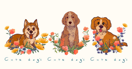 Cute dogs of different breeds set hand drawn vector illustration. Pet animal collection isolated on white background.