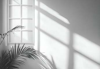 Monochromatic Serenity: Sunlight Illuminates a Minimalist Interior with Palm Plant