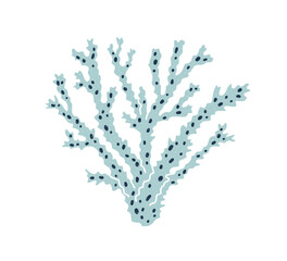 Coral branch. Sea underwater reef plant. Exotic marine fauna with porous structure. Organic tropical flora. Undersea under water decoration. Flat vector illustration isolated on white background