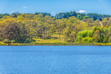 Obraz premium A Summer's day at Lake Canobolas