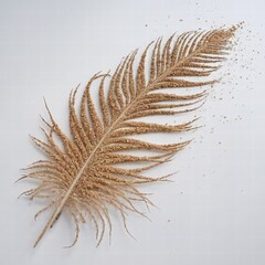 feather on a black background