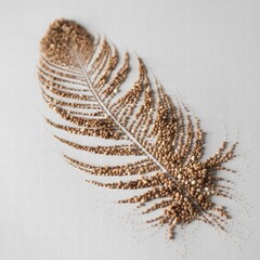 feather on black background