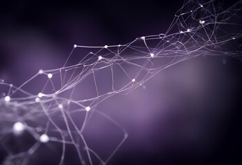 lavender design elegant white connections dar soft featuring network vertical