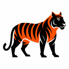 Javan tiger vector on white background 