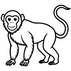 Monkey line art vector on white background 