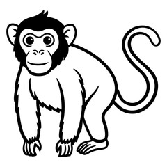 Monkey silhouette vector on white background 