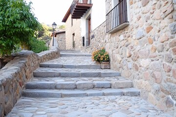 Charming Stone Pathway with Colorful Flower Pot in Quaint Village Setting