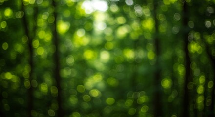 Obraz premium A vibrant green bokeh background with blurred circles of light evokes a sense of peace and tranquility in nature
