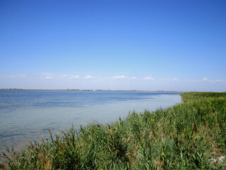 Sea shore. Sunny, summer day. Grass on the seashore, landscape.
