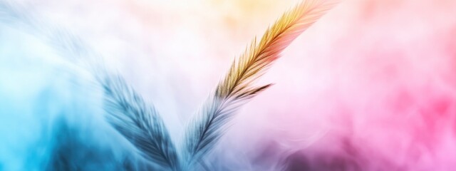 Softly illuminated colorful feathers gracefully floating in a serene dreamy background of pastel hues.