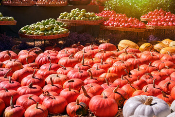 Many large ripe pumpkins of different varieties, green and red apples, and ripe pomegranates  lie in the open air.