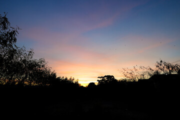 Beautiful shot of pink clouds in a blue sky with scenery of sunrise. Abstract background of cloud and sky in sunset. Colorful texture of cloudscape at twilight. Silhouette of tree and sky background.	