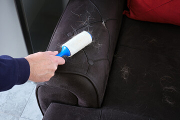 Close-up hand man cleaning pillow leather sofa using sticky paper lint roller in hand.