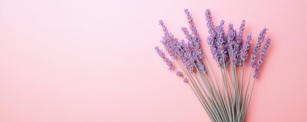 Pastel skies idea. A beautiful arrangement of lavender flowers against a soft pink background.