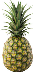 Fototapeta premium Pineapple Fruit PNG - Ananas comosus illustration - Ananas food isolated graphic
