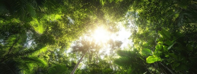 Fototapeta premium Sunlight filtering through the lush foliage of a tropical rainforest, illuminating the verdant canopy and vibrant greenery