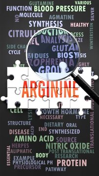 Arginine under magnifying glass, being researched, studied and examined. Most important subjects and ideas closely related to arginine written around a puzzle.