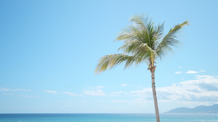Obraz premium Tropical Getaway: Serene Palm Tree by the Ocean 