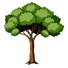 Isolated tree on white background vector illustration (7)