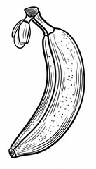 A single banana with a flower attached to the stem. This image is great for educational resources cookbooks or food blogs.
