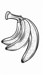 A hand-drawn bunch of bananas in a vintage style. Perfect for healthy food menus, labels, or coloring pages.