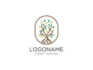tree logo design vcetor template