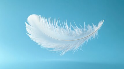 Obraz premium White Feather Falling Against Soft Blue Background in Minimalist Style with Natural Light