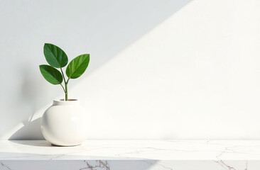 A background for product mockup displays. A marble table with a tree shadow casting onto a white wall.