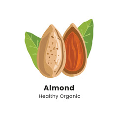 Hand drawn vector illustration of almond nuts