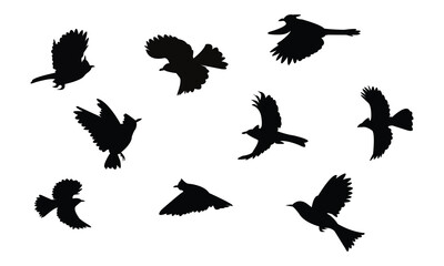 Flying Bulbul Bird Silhouette Design  And Vector Illustration. 