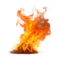 Fire flame on transparent background. Realistic burning fire flame cut out, PNG file.