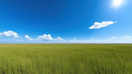 Expansive green field under a clear blue sky with fluffy clouds.
