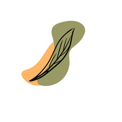 Aesthetic Decorative