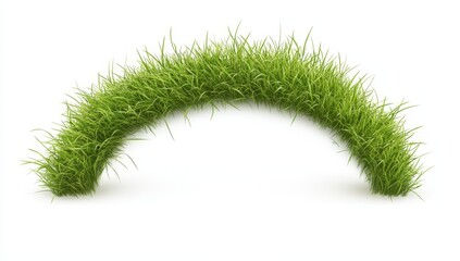 Lush green grass arch isolated on white.