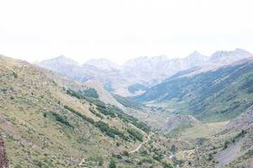 Naklejka premium Selva de Oza