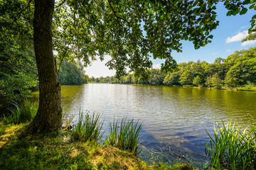 View of the paddling pond at the spa park in Bad Wünnenberg. Recreation area in the city.
