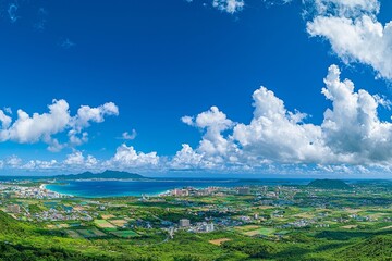 丘の上から望む沖縄の町と海