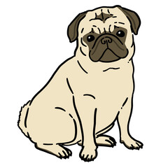 パグのイラスト（手描き）